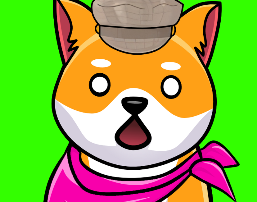 Nft Surprised Doge