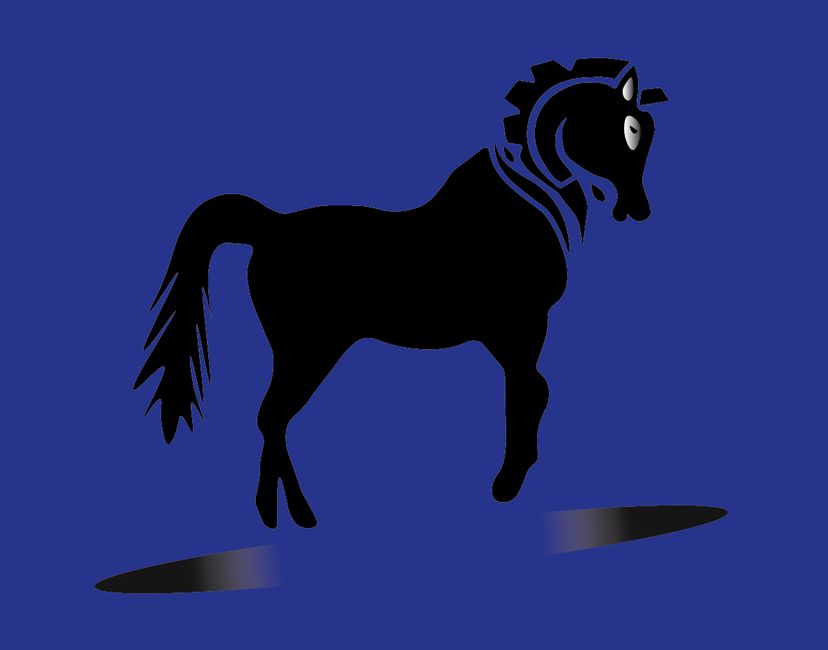 Nft Noble Horse #c25