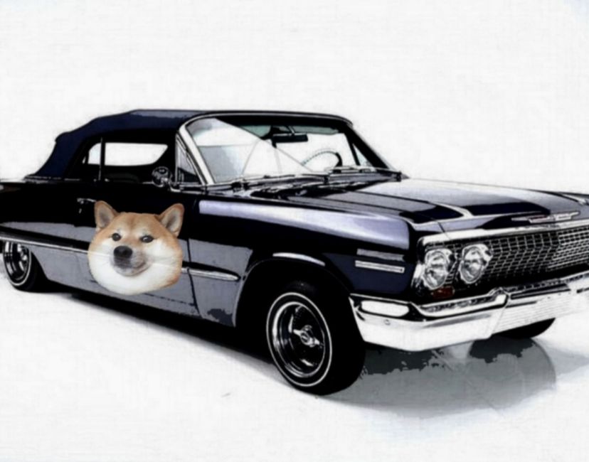 Nft ShibaInuSixFo