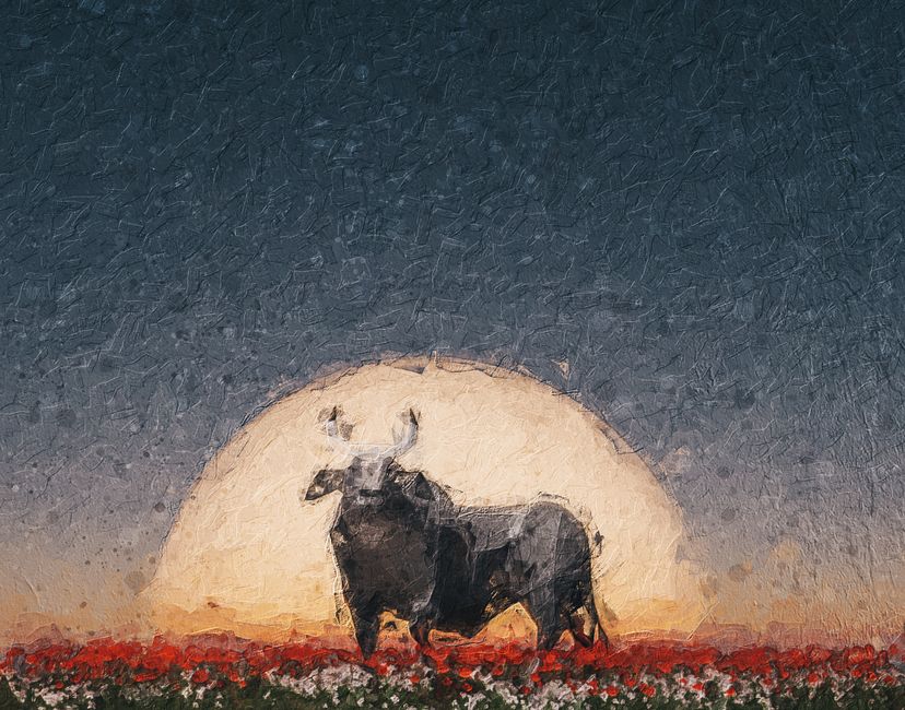 Nft Sunset Bull #8/10