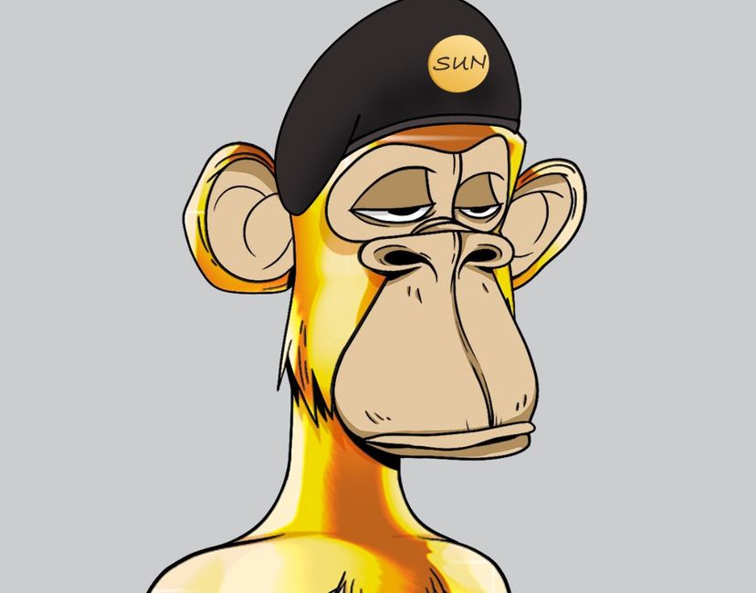 Monkey_gold_1639006719433.jpg