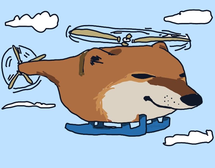 Nft Dogebonk helicopter lol