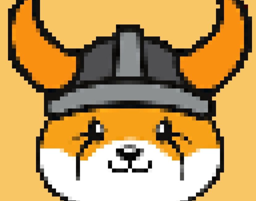 Nft Floki Inu Collection 3/4