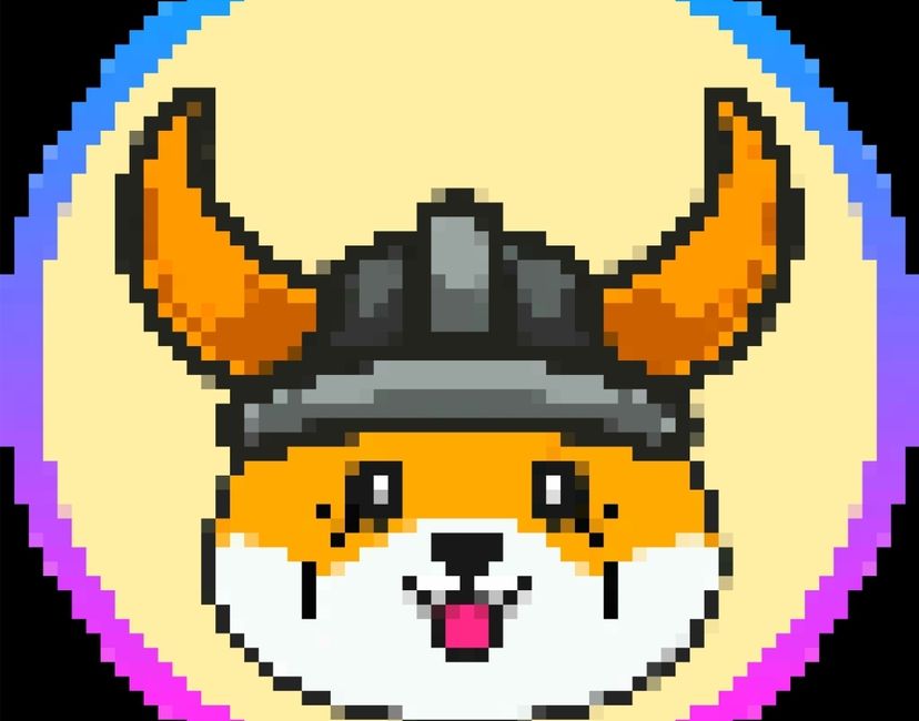 Nft Floki Inu Collection 4/4