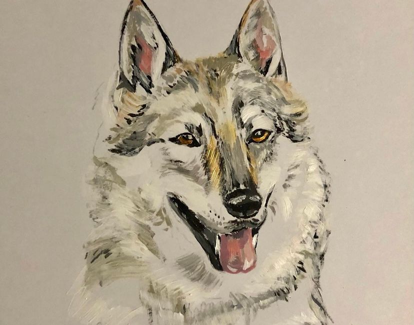 Nft Northern breed