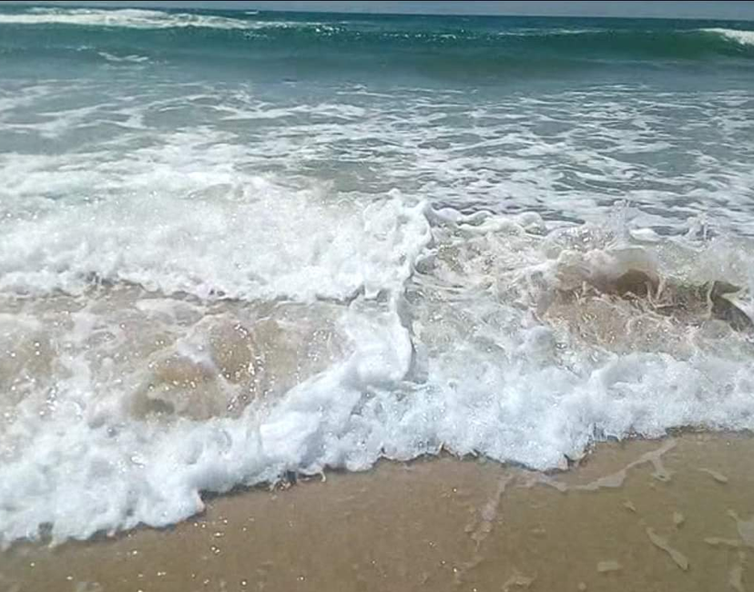 Nft Beach 