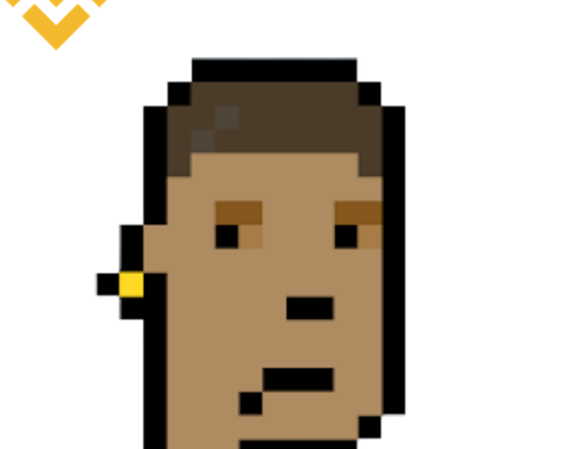 Nft BinancePunk #17