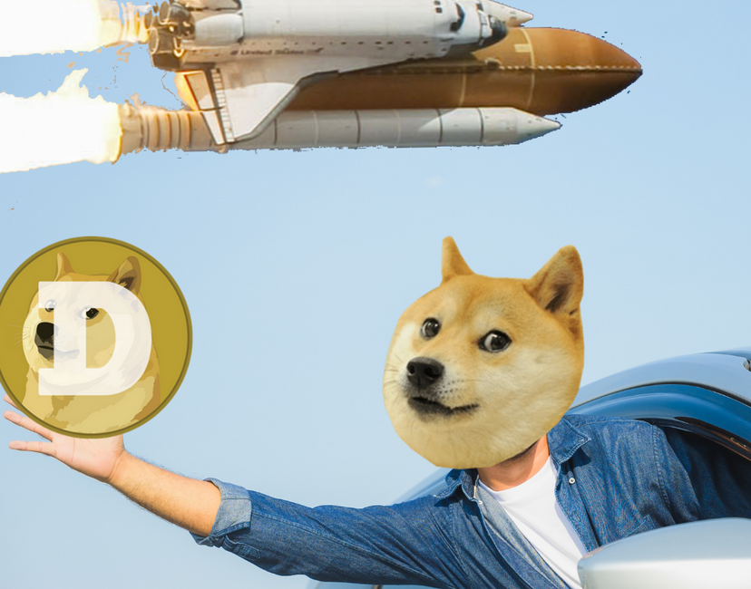 Nft DOGE MOON