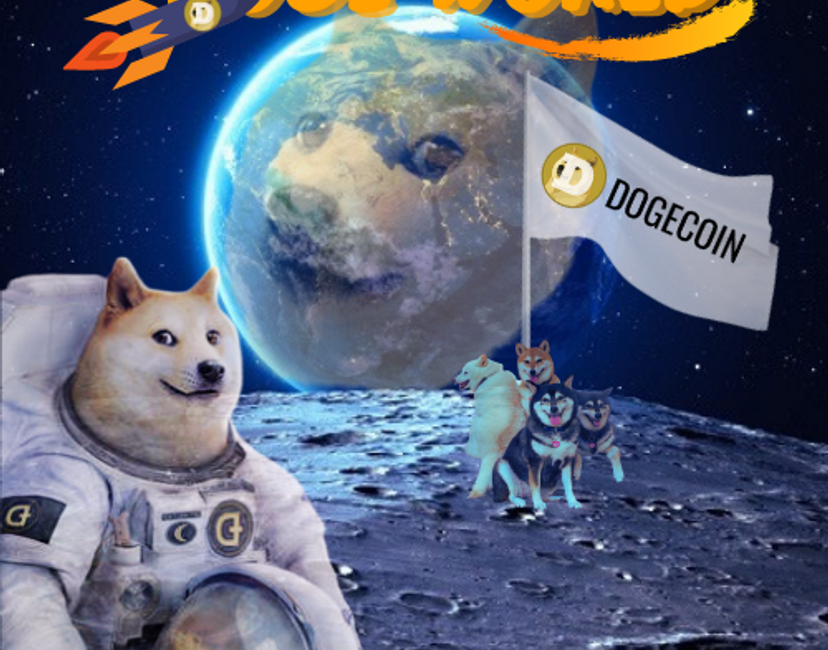 Nft DOGE WORLD