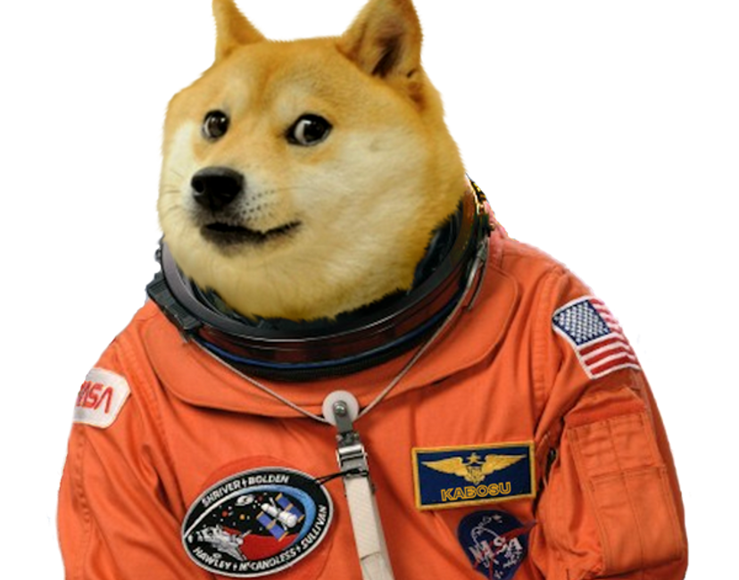 Nft Doge Dough