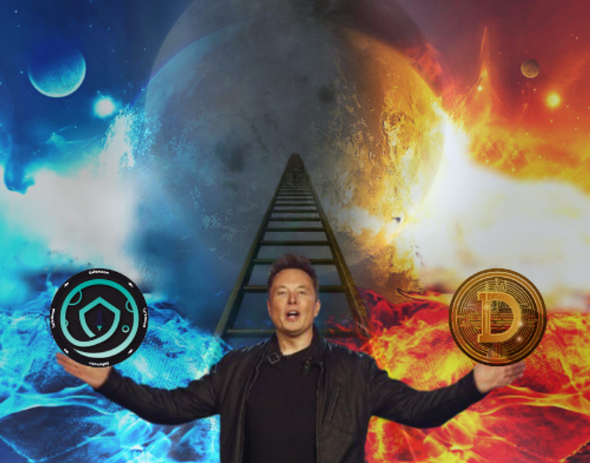 Nft SAFEMOON X DOGECOIN