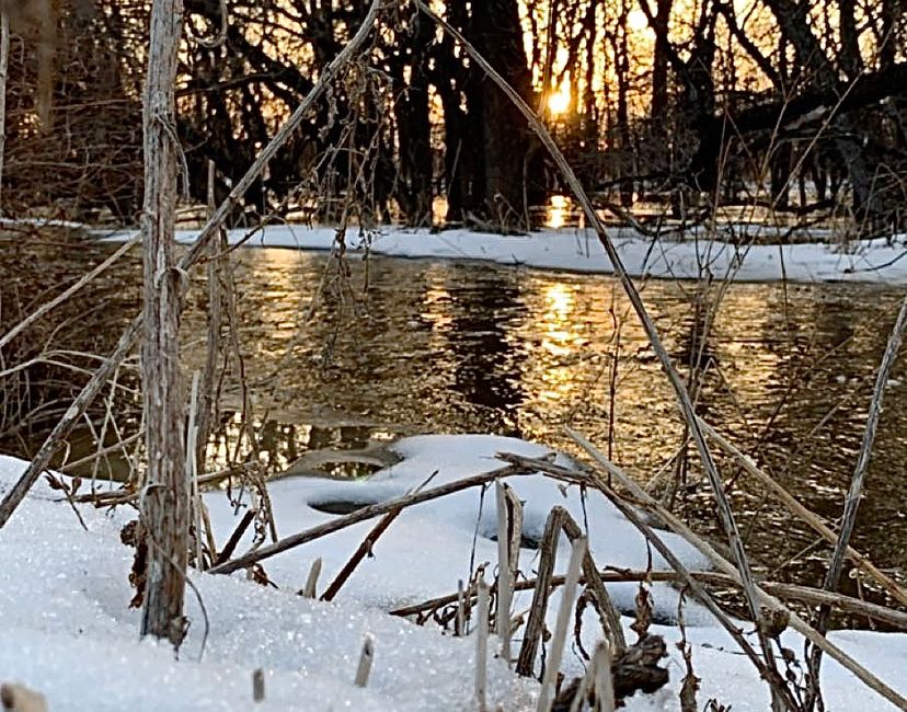 Nft Snowy Spring
