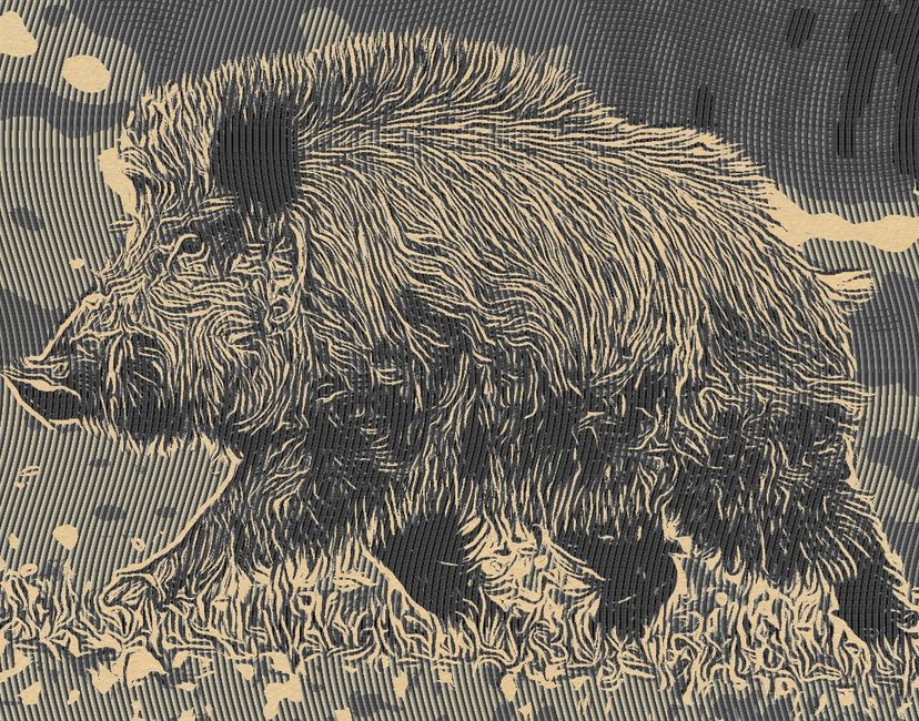Nft Wild Boar
